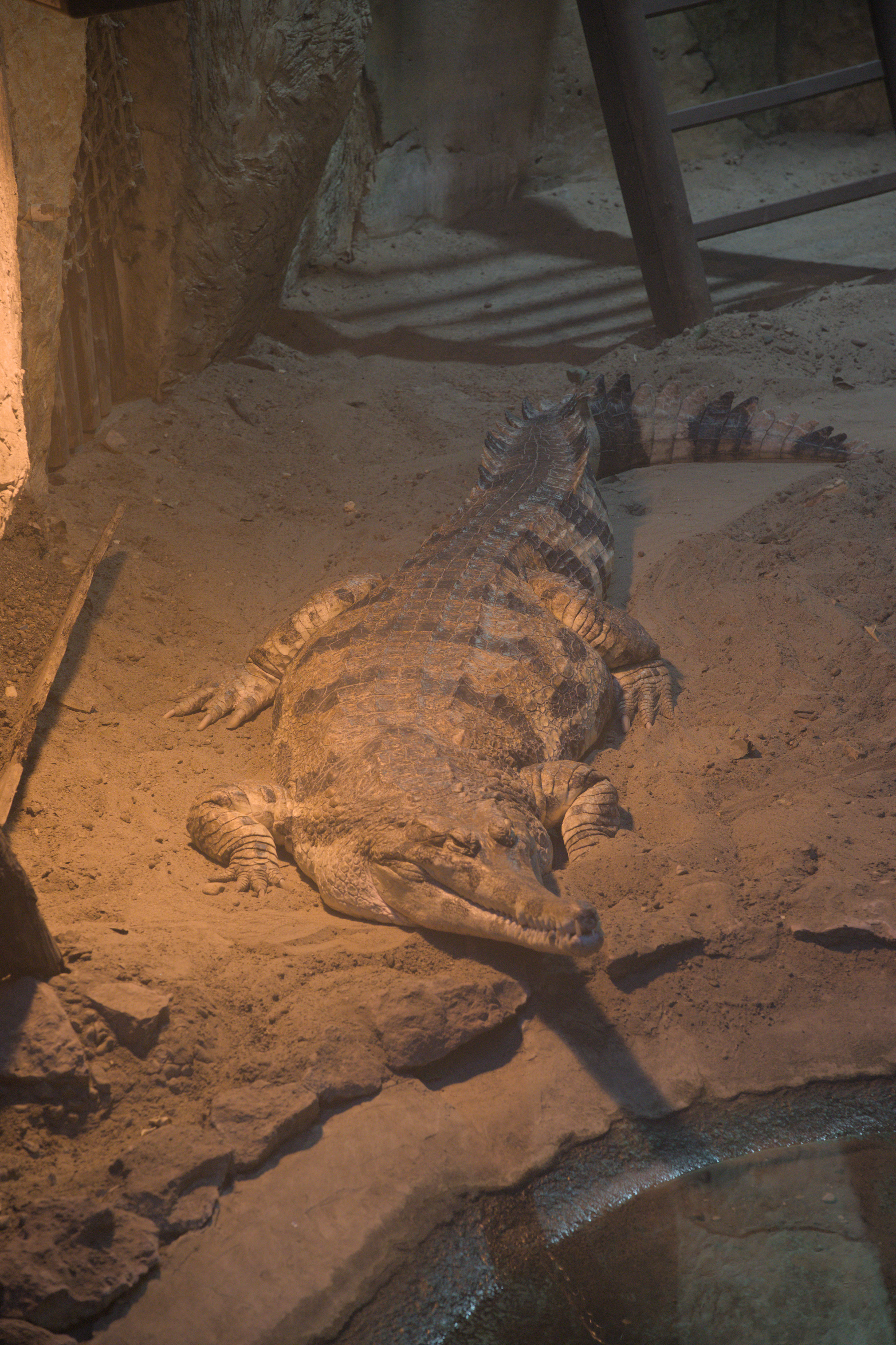 2025/10/12 - zoo/DSC_0157.jpg